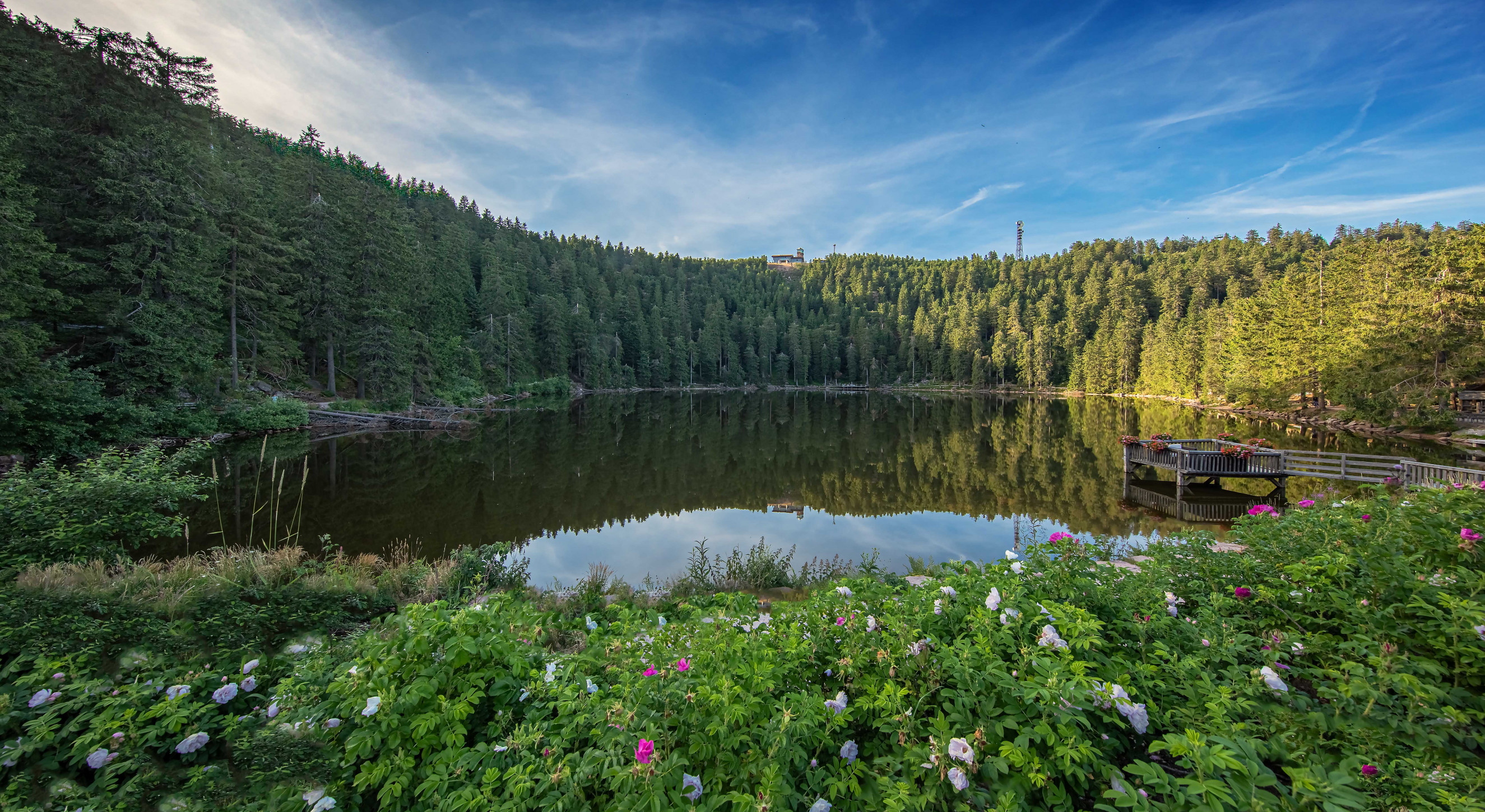 Sommer Mummelsee
