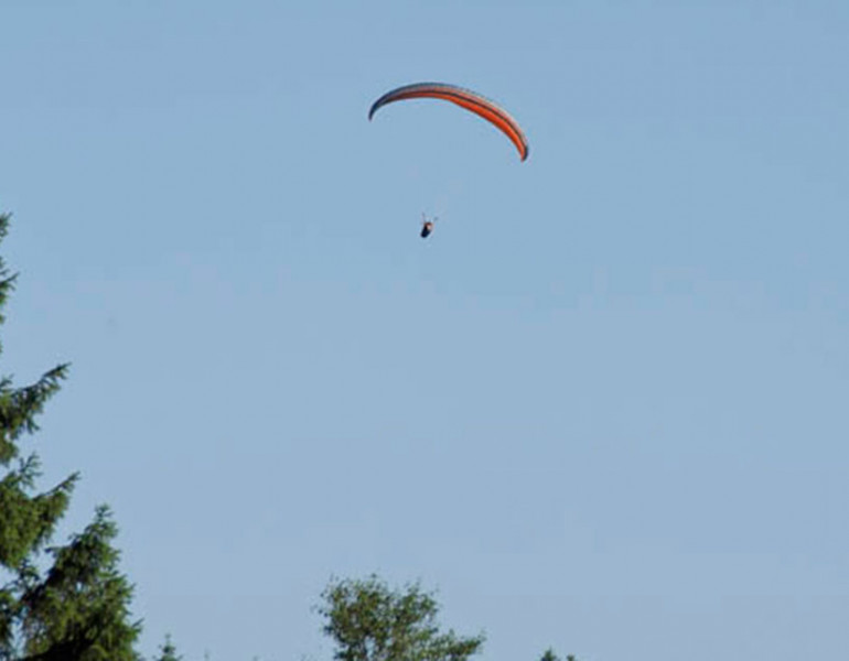 D7081109 1 DD