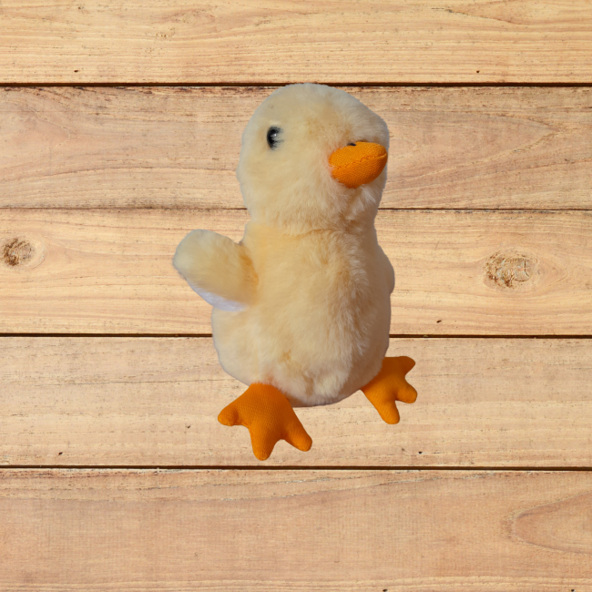 Hover image for Küken aus Plüsch