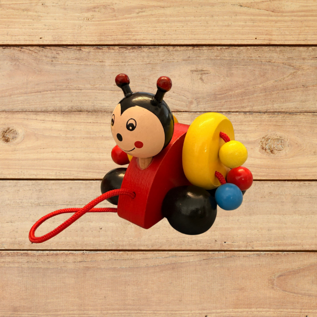 Hover image for Nachzieh-Käferchen