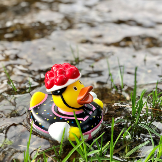 Mummelsee Badeente
