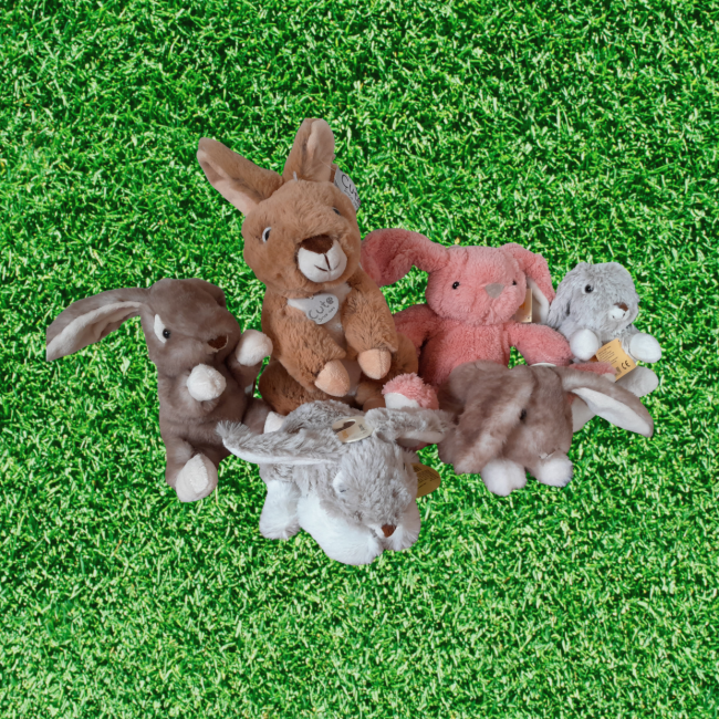 Hover image for Hasen aus Plüsch