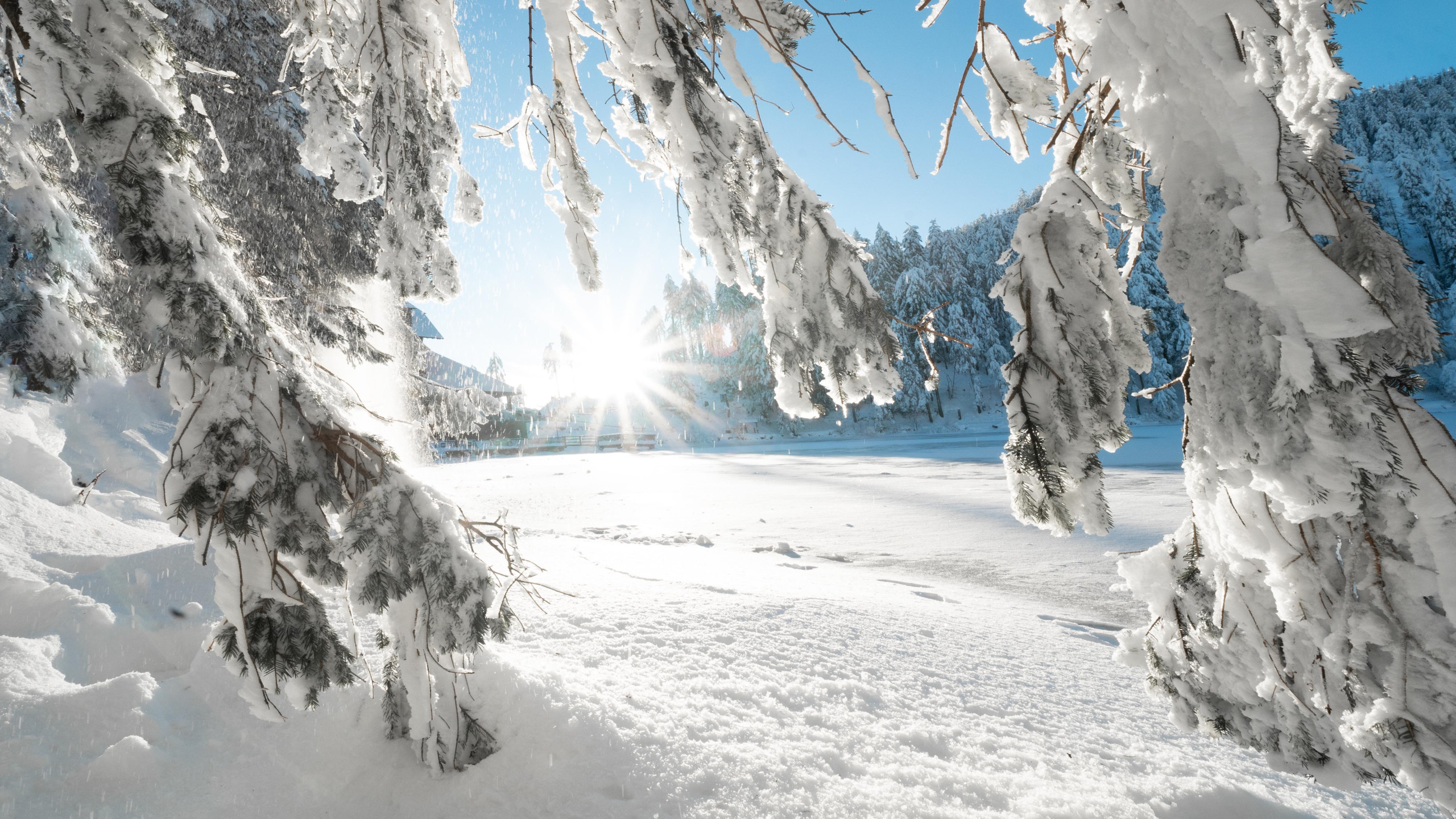 shutterstock 1893107461 klein