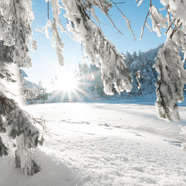 Winter